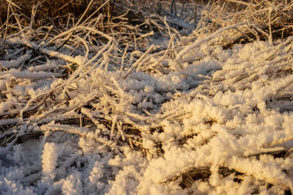 Hintergrund Von Gefrorenem Schneebedecktem Gras Winter — Stockfoto