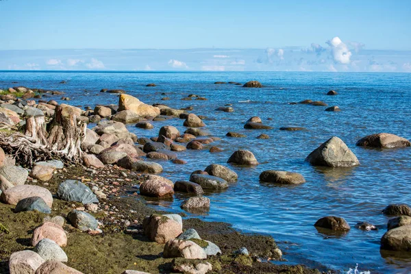 Velké Tvrdé Skály Pokrývající Pláž Krajině Lotyšsku — Stock fotografie