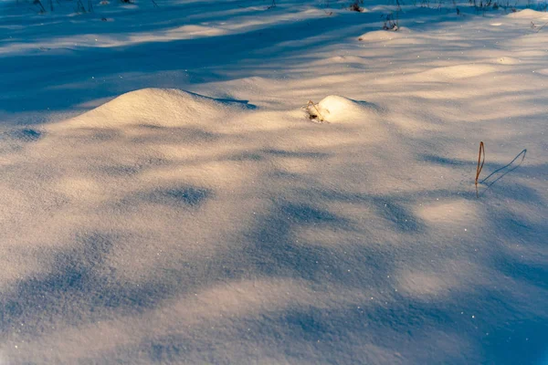 Detail Sněhu Zimě Krytý Zem — Stock fotografie