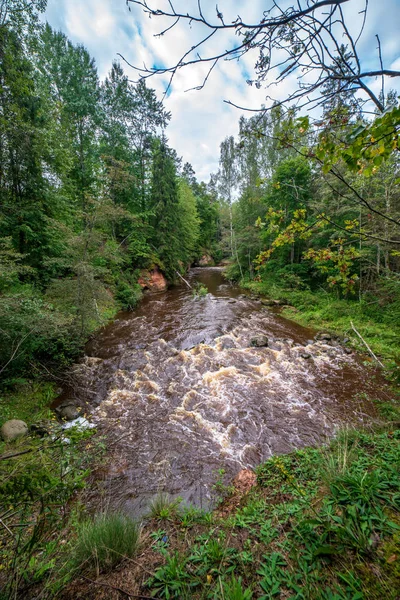 Rápido Rio Amata Floresta Verde Amata Letónia — Fotografia de Stock