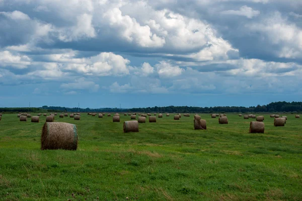 Rollos Heno Campo Verde Brillante Bajo Cielo Paisaje Rural Letonia —  Fotos de Stock