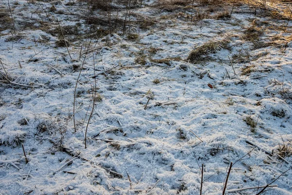 Achtergrond Van Bevroren Sneeuw Bedekt Gras Winter — Stockfoto