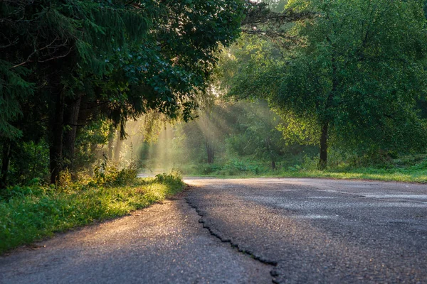 Beautiful Morning Sunlight Shining Trees Road Countryside — Stock Photo, Image