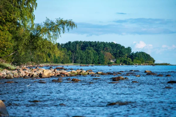 Stora Grova Stenar Som Täcker Stranden Landsbygden Lettland — Stockfoto