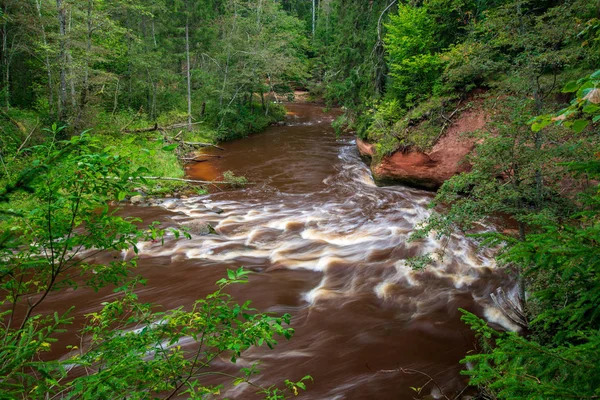 Rápido Río Amata Bosque Verde Amata Letonia — Foto de Stock