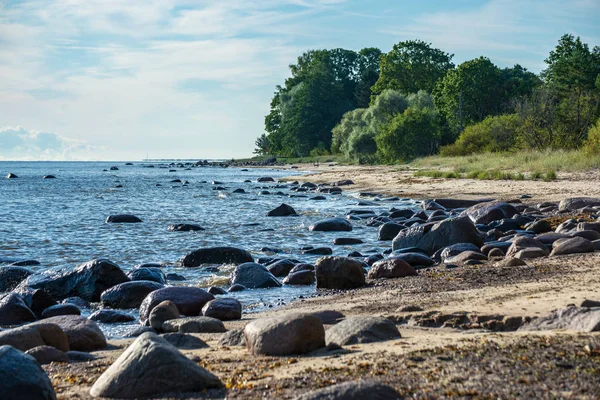 Playa Guijarros Soleada Campo Letonia — Foto de Stock