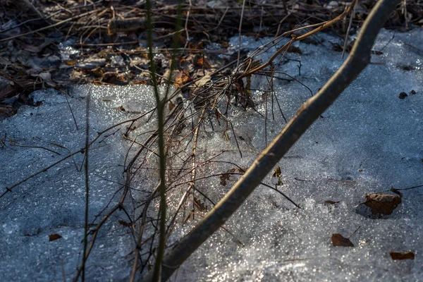 Hintergrund Der Gefrorenen Natur Details — Stockfoto