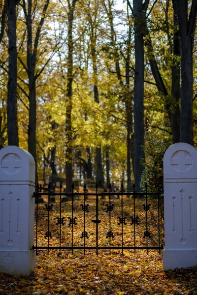 Alte Friedhofstore Herbst Mit Metallstangen — Stockfoto