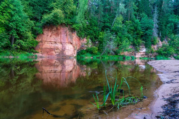 美しい砂岩の断崖とラトビアのアマタの穏やかな川のほとりの森 — ストック写真
