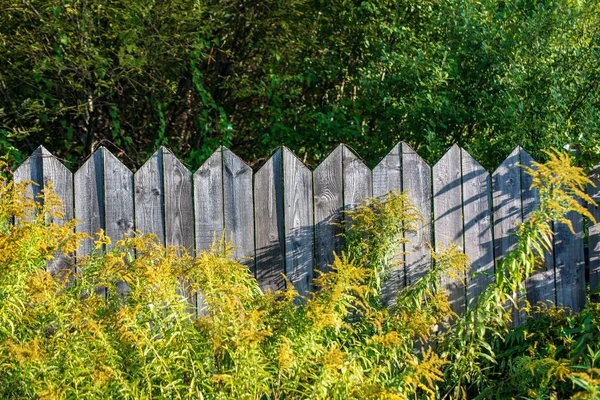 Fil Barbelé Rouillé Sur Dessus Vieille Clôture Bois Été Avec — Photo