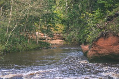 kumtaşı kayalıklarla nehrin Amata ve yeşil ormanlar, Letonya, sahilinde