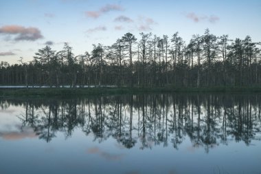 geç akşam güneşi bataklık göller üzerinde yansımaları sakin su ağaçları ile yaz aylarında