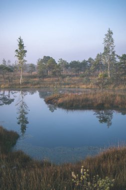 Bataklık bataklık alan ile küçük su birikintisi açık gökyüzü altında
