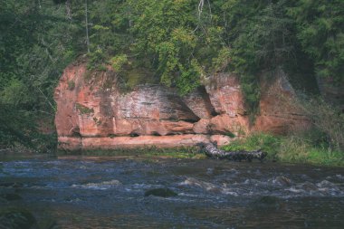 kumtaşı kayalıklarla nehrin Amata ve yeşil ormanlar, Letonya, sahilinde
