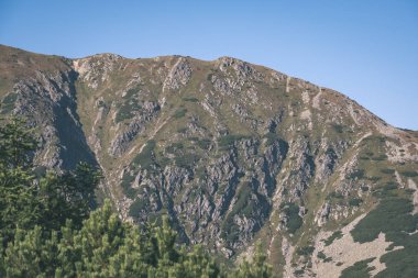 güzel Tatra Dağları ve ağaçların altında mavi gökyüzü, Slovakya