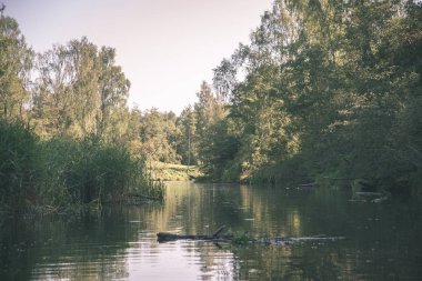 nehir suyu woods ile sakin ve ve kıyısında yeşil yeşillik