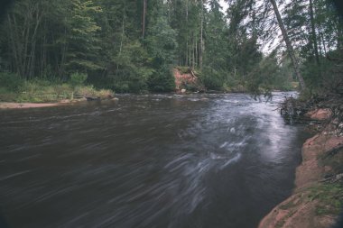 hızlı Amata nehir ormandaki yeşil yaz, Letonya