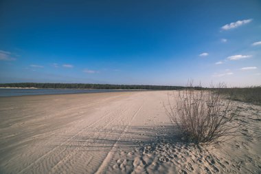 boş deniz plaj kum tepeleri ve güzel gökyüzü