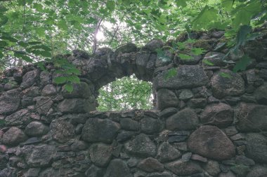 yeşil orman eski yıkık taş duvar