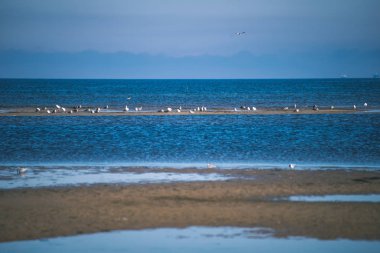 mavi gökyüzünün altında boş deniz plaj