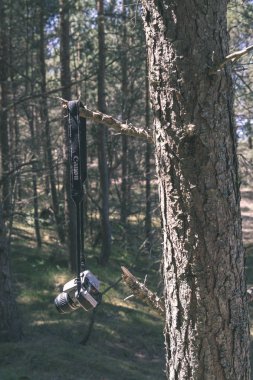 Orman dalında asılı fotoğraf makinesi