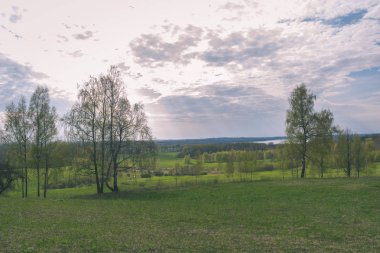 düz basit kırsal bahar yatay, taze yeşil çayır ve orman