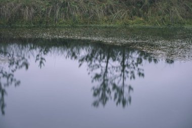 göl sakin suda yeşil yeşillik yansımaları alacakaranlıkta
