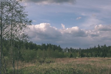 kırsal manzara alanlar ve woods bulutlu gökyüzü altında