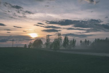 kırsal manzara alanlar ve woods bulutlu gökyüzü altında