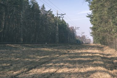 Tren rayları ve woods açık gökyüzü altında