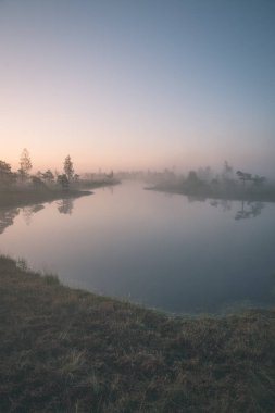 gündoğumu ile bataklık bataklık alan ağaçların su yansımaları ile siste