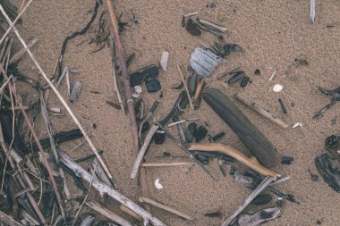 detay ahşap sopa ile ıslak kum plaj