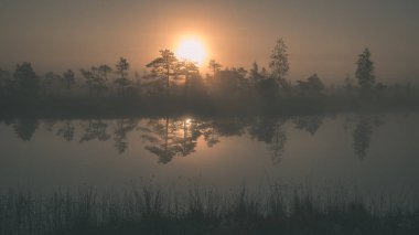 gündoğumu ile bataklık bataklık alan ağaçların su yansımaları ile siste