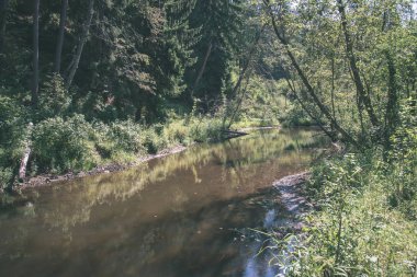 yaz günü suda kumtaşı kayalıklarla ve kuru ağaç ormanları içine Nehri sakin