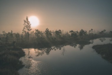 gündoğumu ile bataklık bataklık alan ağaçların su yansımaları ile siste