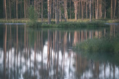 Günbatımında sakin Göl su ağaçların yansımalar