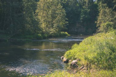 suda yaz günü nehir orman kumtaşı kayalıklarla ve kuru ağaç, Brasla Nehri, Letonya ile içine sakin
