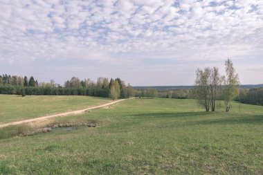 düz basit kırsal bahar yatay, taze yeşil çayır ve orman