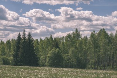 kırsal manzara alanlar ve woods bulutlu gökyüzü altında