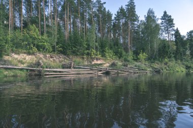 su akışı nehir Amata Letonya ile kumtaşı kayalıklarla ve yaz ormanda