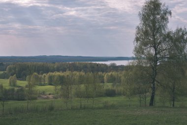 düz kırsal bahar yatay, taze yeşil çayır ve orman