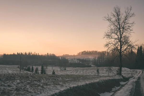 Paisagem Rural Com Campos Cobertos Neve Árvores Pôr Sol Letónia — Fotografia de Stock