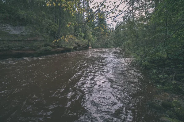 Rápido Rio Amata Floresta Verde Amata Letónia — Fotografia de Stock