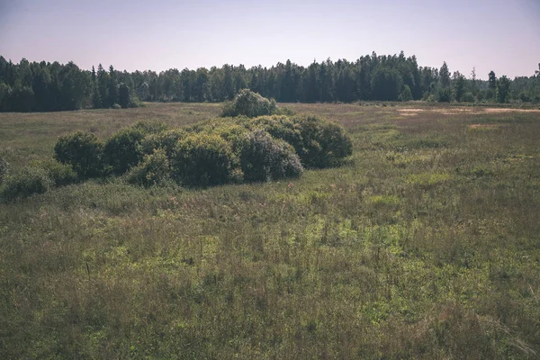 Сельский Пейзаж Полей Лесов Голубым Небом Летом — стоковое фото