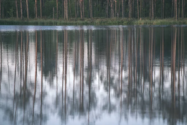 Reflets Arbres Dans Eau Calme Lac Coucher Soleil — Photo