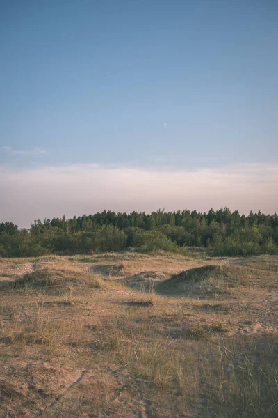 Paesaggio Campi Boschi Sotto Cielo Del Tramonto — Foto Stock