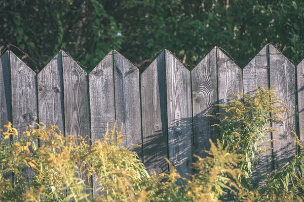 Cerca Madera Vieja Verano Con Follaje Verde —  Fotos de Stock