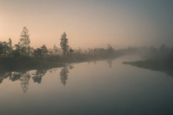 Sonnenaufgang Mit Nebel Sumpfmoorgebiet Mit Reflexionen Von Bäumen Wasser — Stockfoto