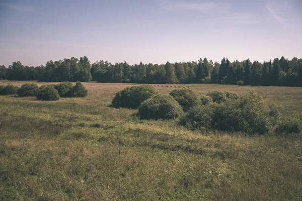 Сільський Пейзаж Полів Лісів Під Блакитним Небом Влітку — стокове фото