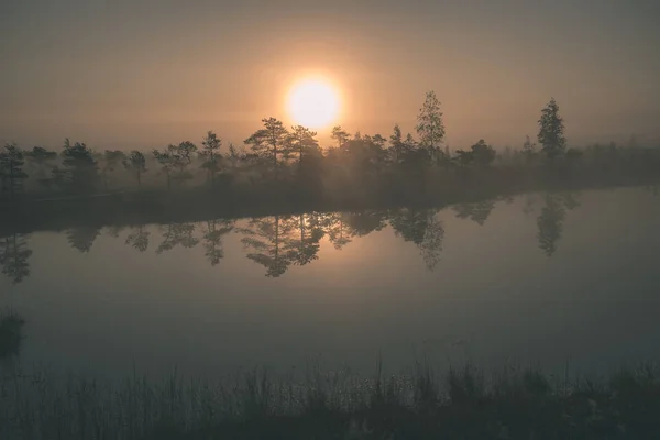 Sonnenaufgang Mit Nebel Sumpfmoorgebiet Mit Reflexionen Von Bäumen Wasser — Stockfoto